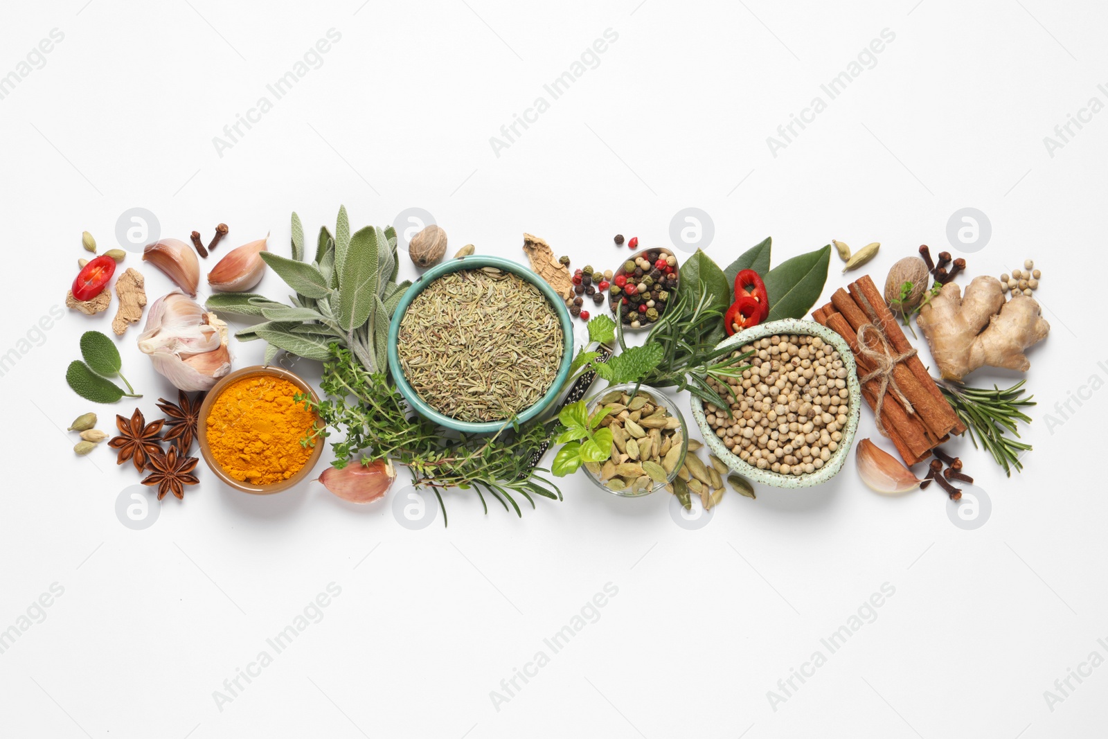 Photo of Different fresh herbs and spices on white background, top view