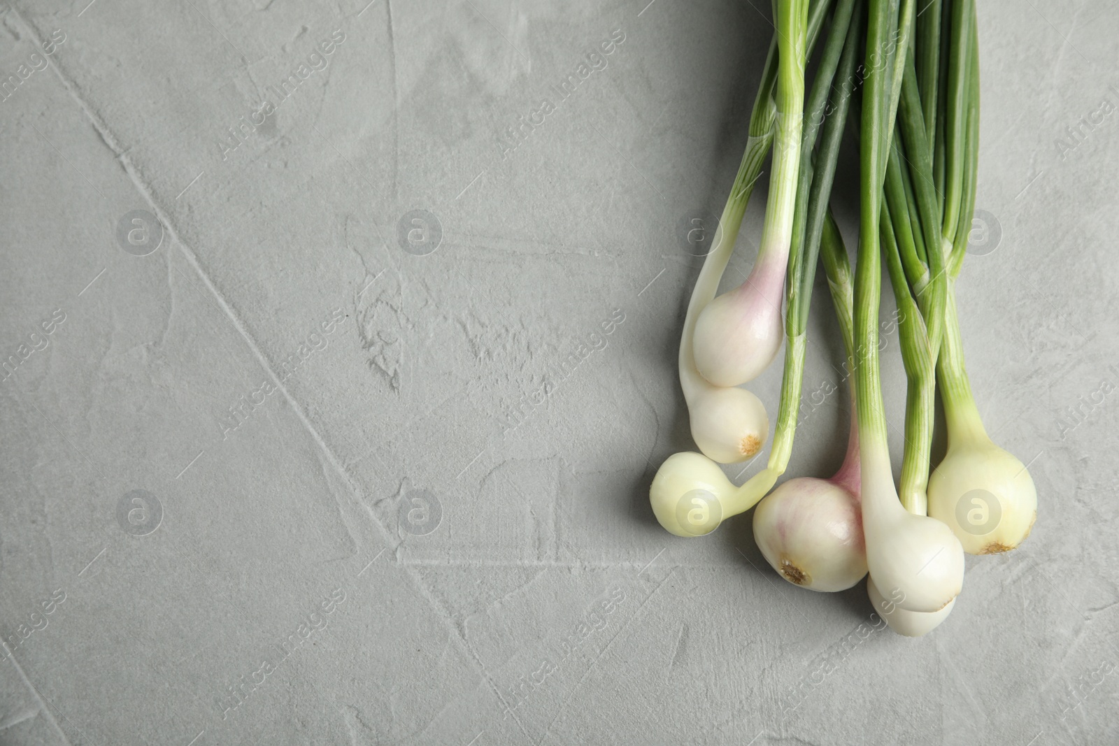 Photo of Fresh green onion on table, top view