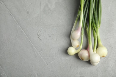 Photo of Fresh green onion on table, top view