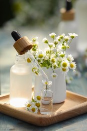 Photo of Bottles of chamomile essential oil, pipette and flowers on grey wooden table, closeup