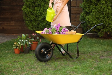 Young woman watering plants in garden, closeup