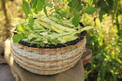 Photo of Wicker basket with fresh green beans on wooden stool in garden