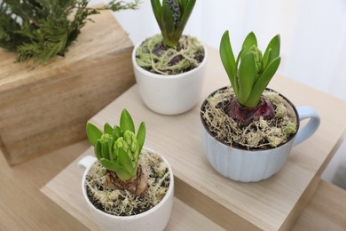 Photo of Potted hyacinth plants on wooden table, closeup