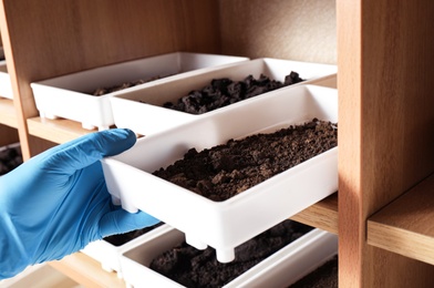 Photo of Scientist taking container with soil sample for agriculture analysis in laboratory, closeup