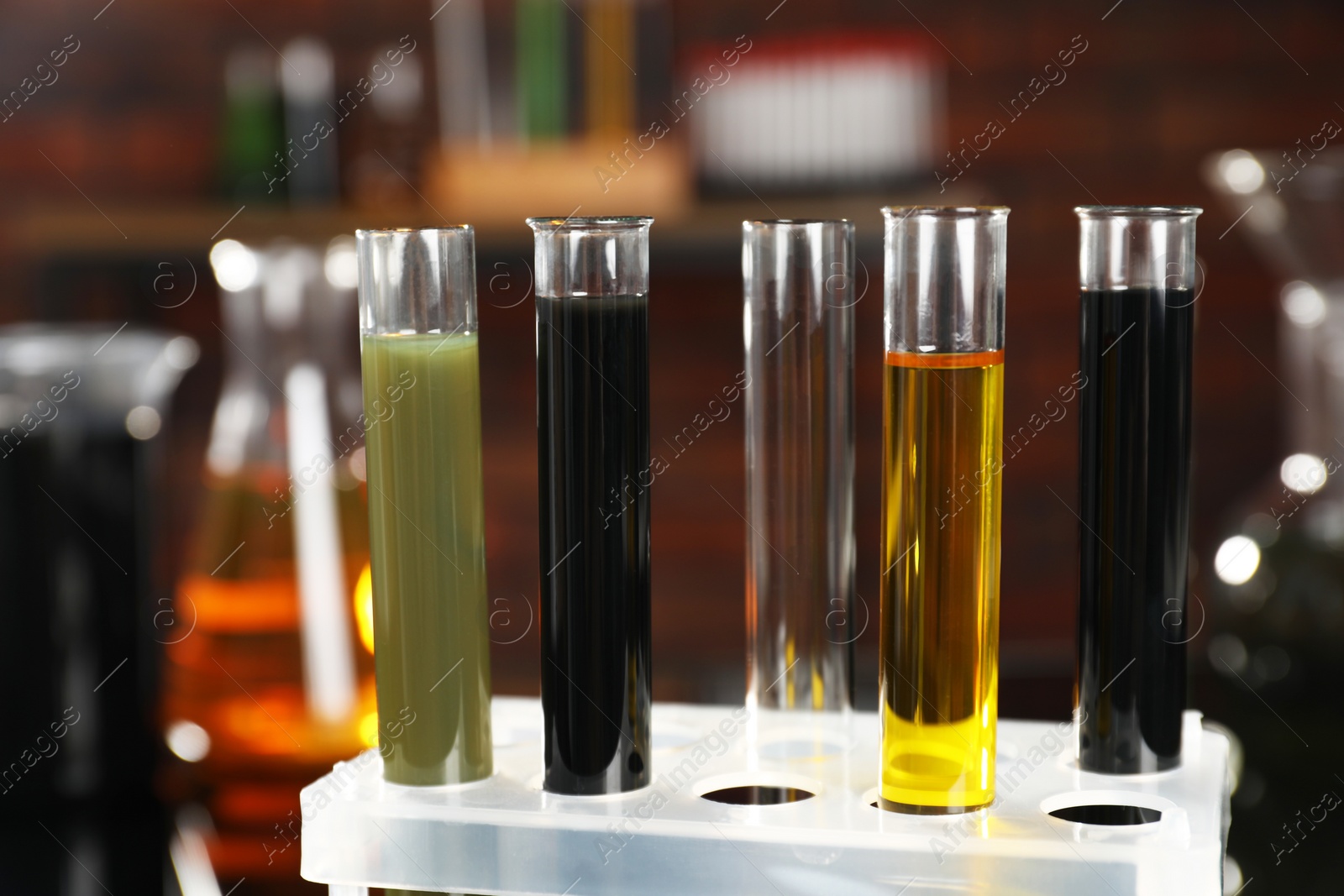 Photo of Test tubes with different types of oil in rack, closeup