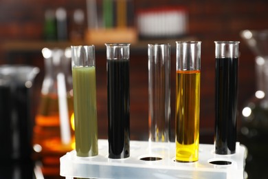 Photo of Test tubes with different types of oil in rack, closeup