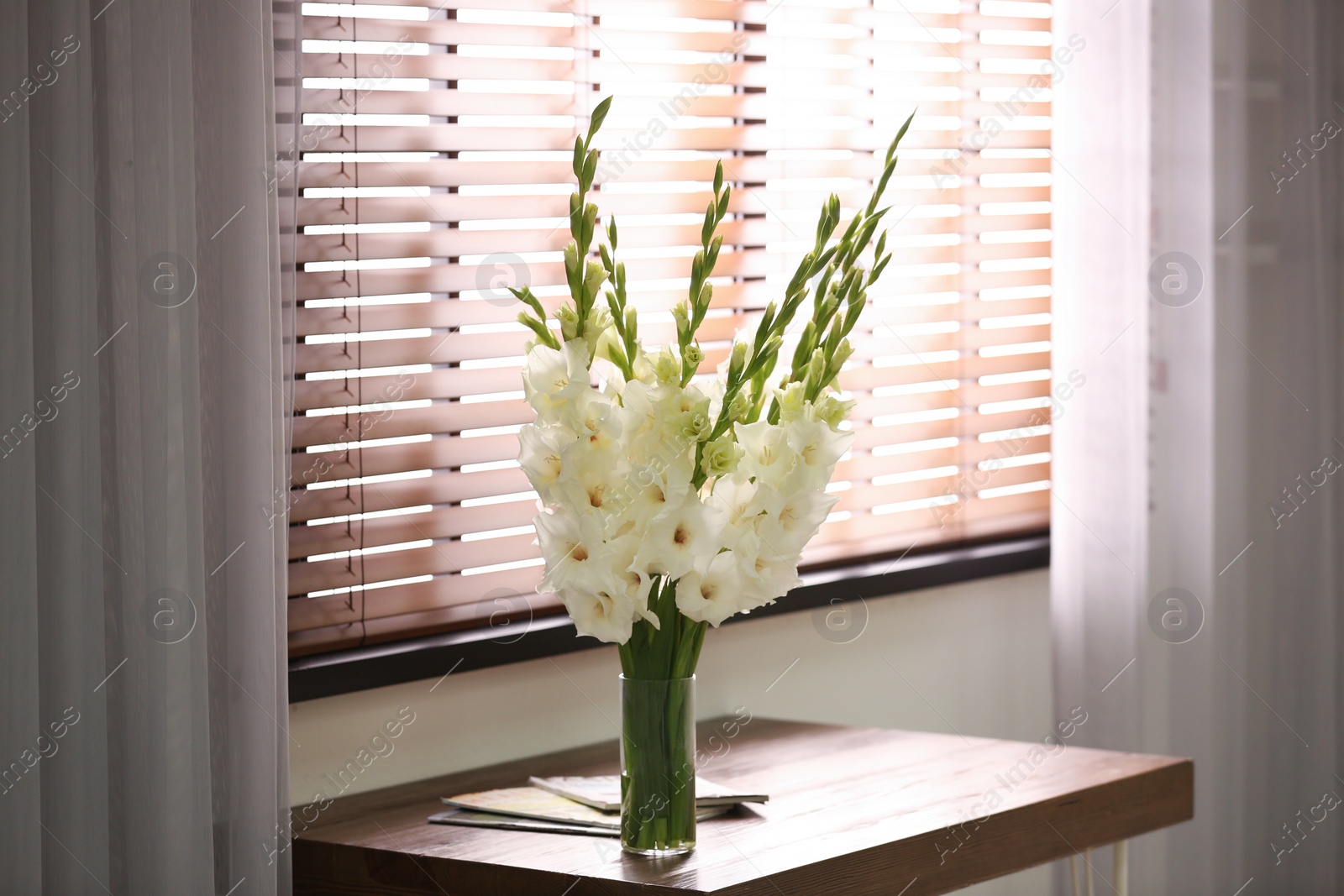 Photo of Vase with beautiful white gladiolus flowers on wooden table in room, space for text