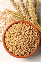 Photo of Wheat grains in bowl and spikes on white wooden table, top view