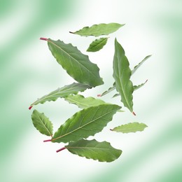 Fresh bay leaves falling on color background