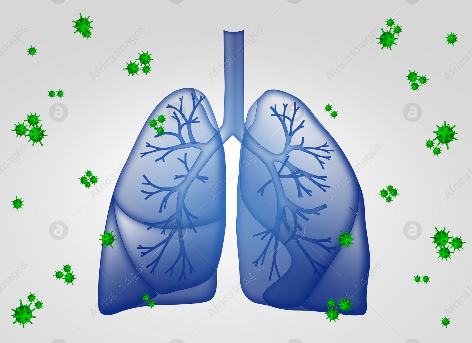 Illustration of  human lungs surrounded by viruses on white background