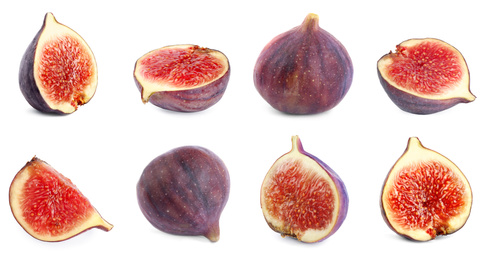 Image of Set of cut and whole figs on white background. Banner design