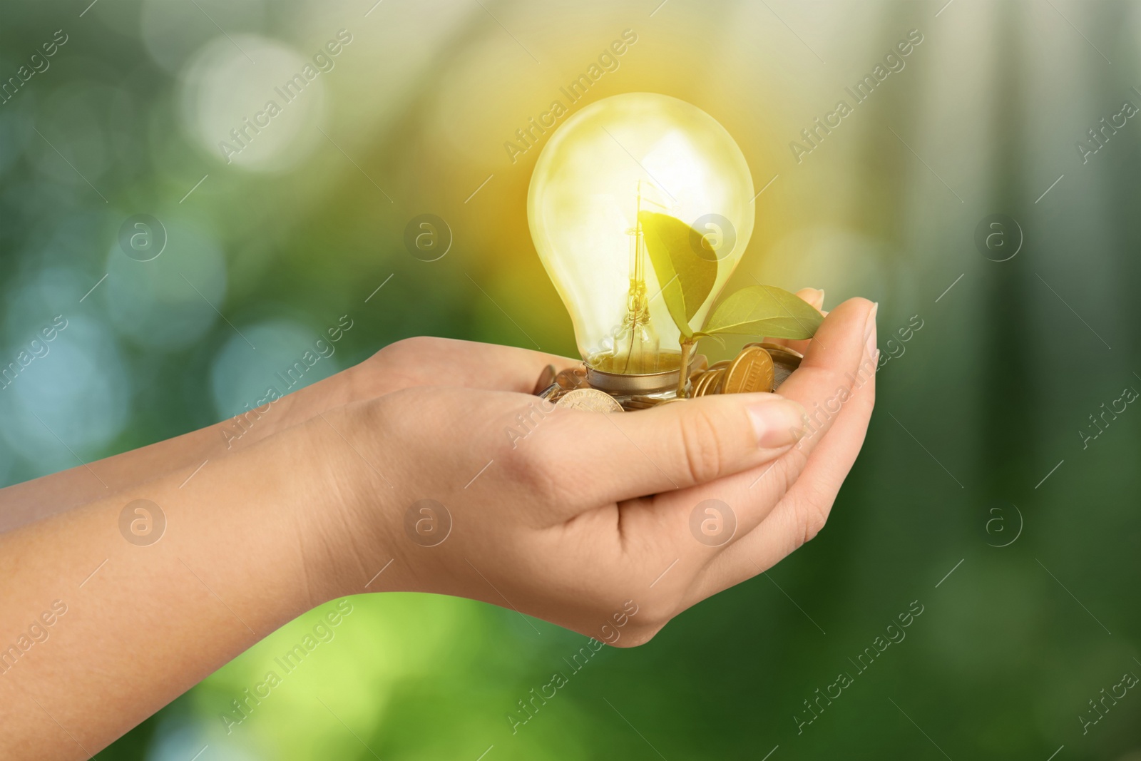 Image of Solar energy concept. Woman holding glowing light bulb with seedling and coins against green blurred background, closeup