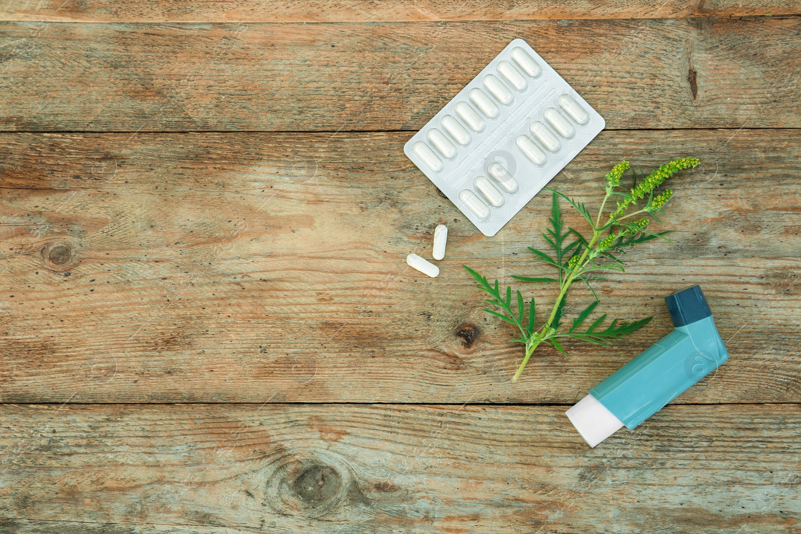 Photo of Ragweed (Ambrosia) branch, inhaler and pills on wooden table, flat lay with space for text. Seasonal allergy