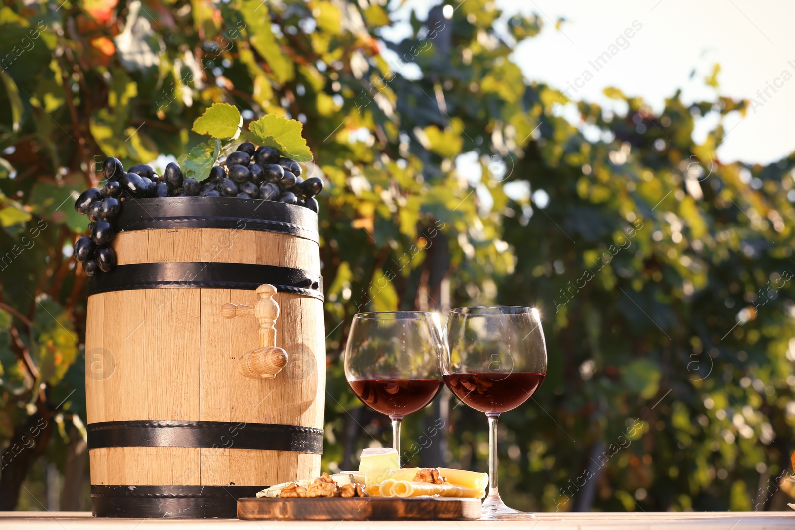 Photo of Composition with wine and snacks on table outdoors. Space for text