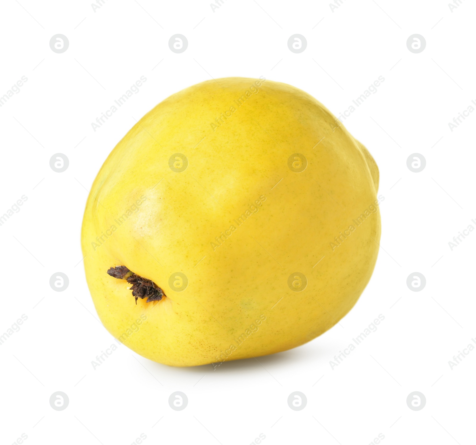 Photo of Delicious fresh ripe quince isolated on white