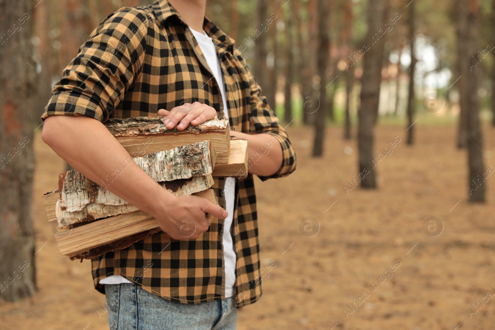 Photo of Man holding cut firewood in forest, closeup