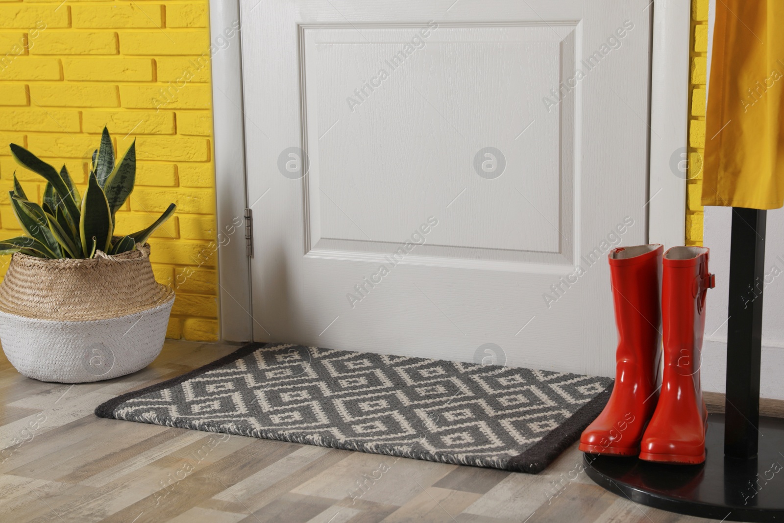 Photo of Hallway interior with beautiful houseplant, hanger stand and door mat on floor near entrance