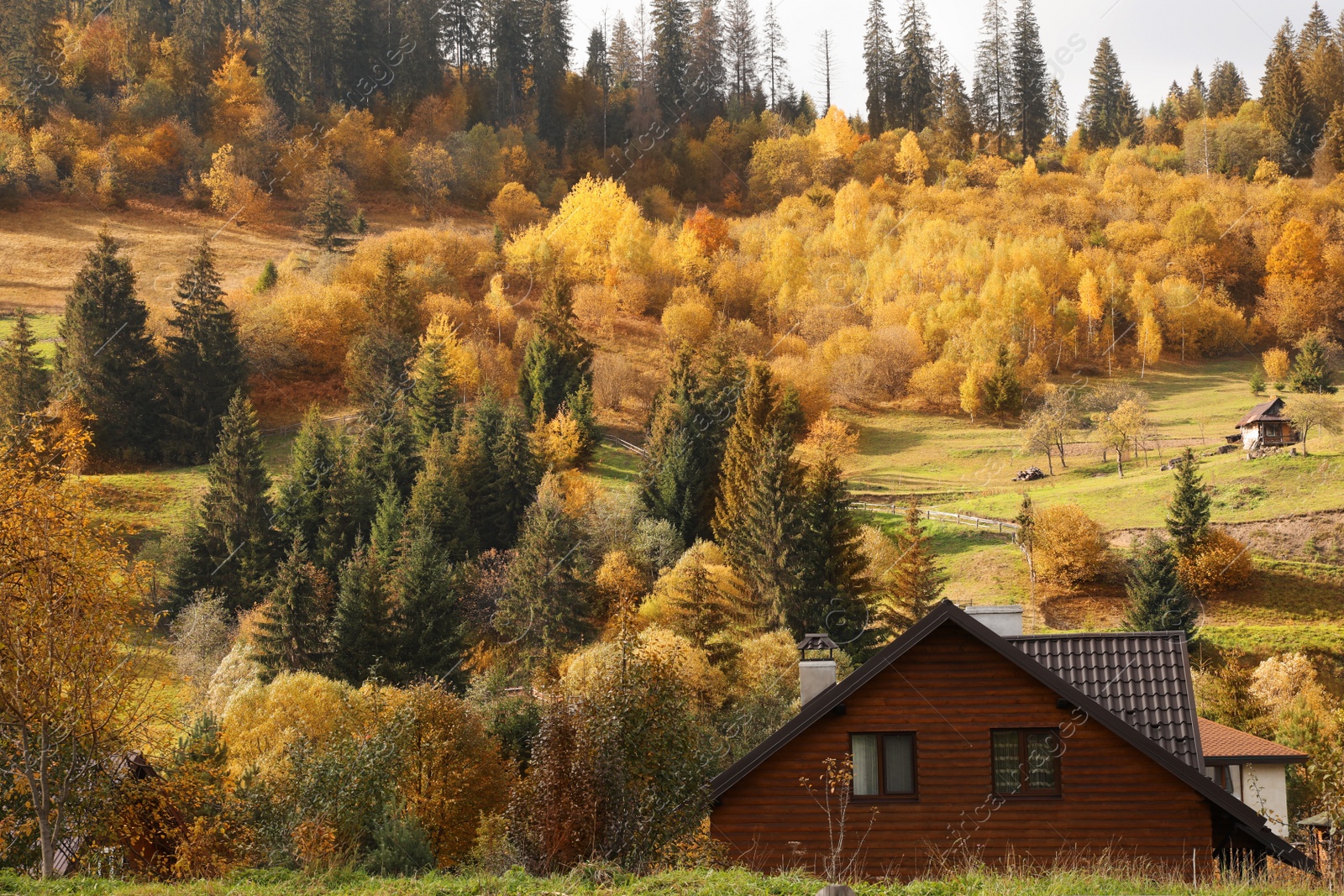 Photo of Beautiful view of forest and mountain village on autumn day