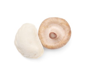 One raw dumpling (varenyk) and fresh mushroom isolated on white, top view