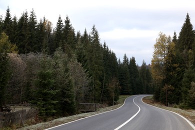 Photo of Beautiful view of asphalt highway going through coniferous forest. Autumn season