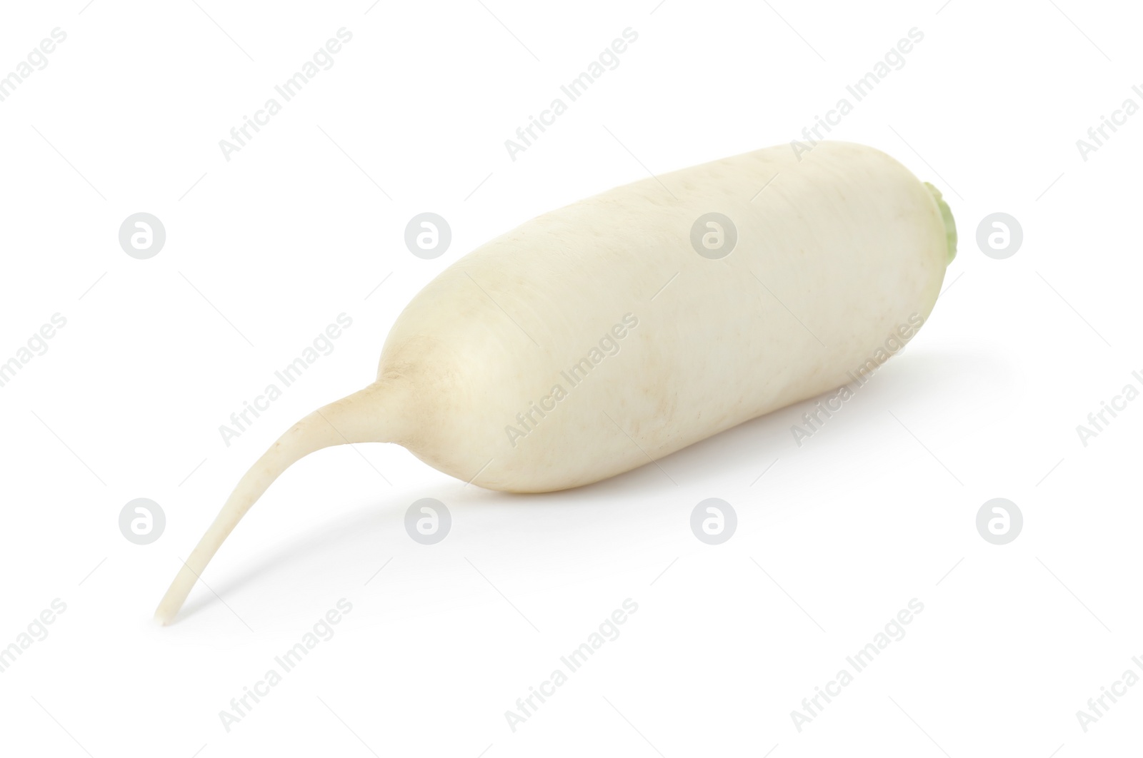 Photo of Whole fresh ripe turnip on white background