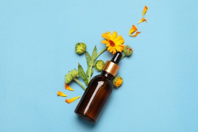 Bottle of essential oil and beautiful calendula flowers on light blue background, flat lay