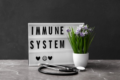 Photo of Lightbox with phrase Immune System, plant and stethoscope on grey table