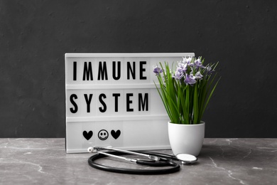 Lightbox with phrase Immune System, plant and stethoscope on grey table