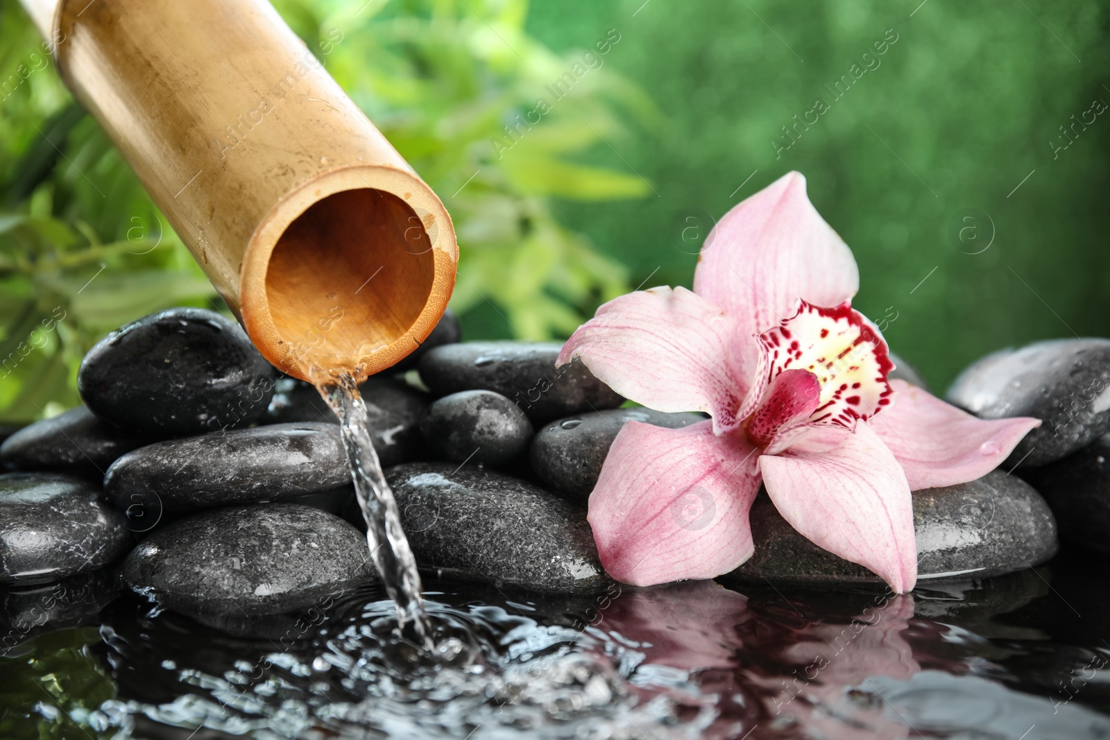 Photo of Traditional bamboo fountain with zen stones and flower