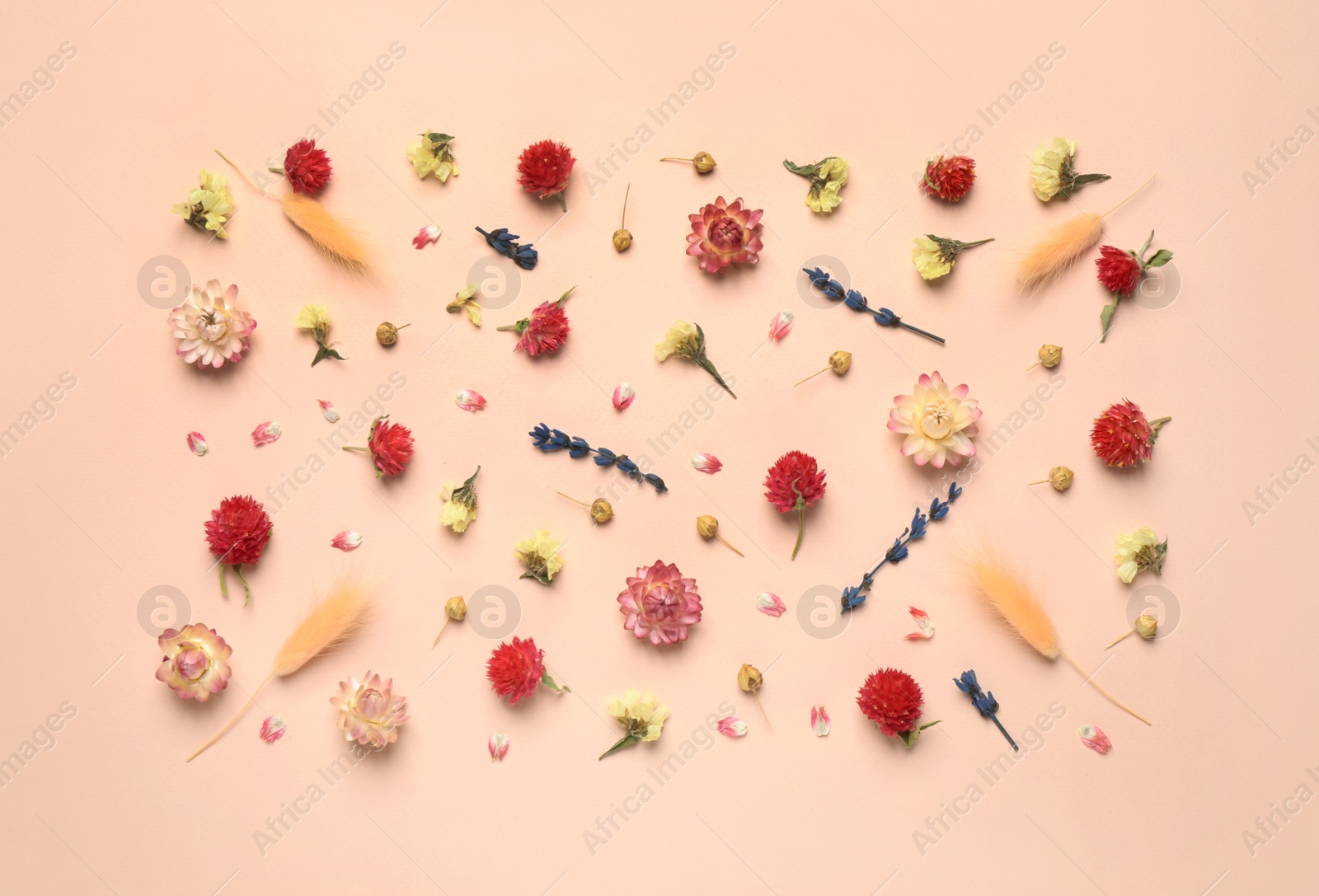 Photo of Flat lay composition with beautiful dried flowers on pink background