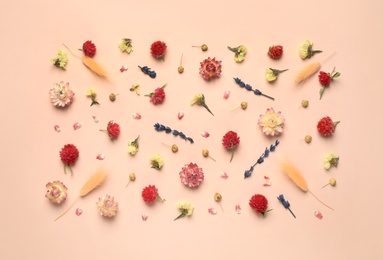 Photo of Flat lay composition with beautiful dried flowers on pink background
