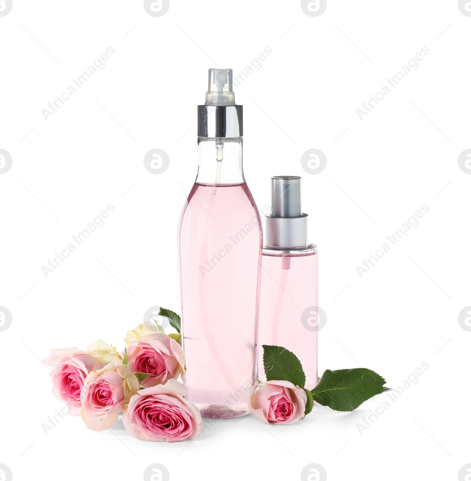 Photo of Bottles of essential oil and roses on white background