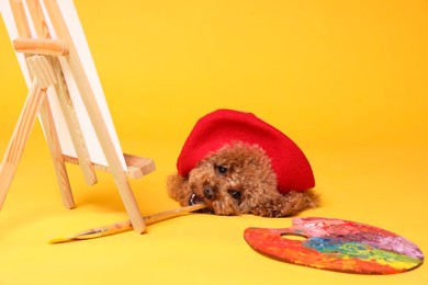 Cute Maltipoo in red beret holding brush near easel with canvas and palette on orange background. Dog artist