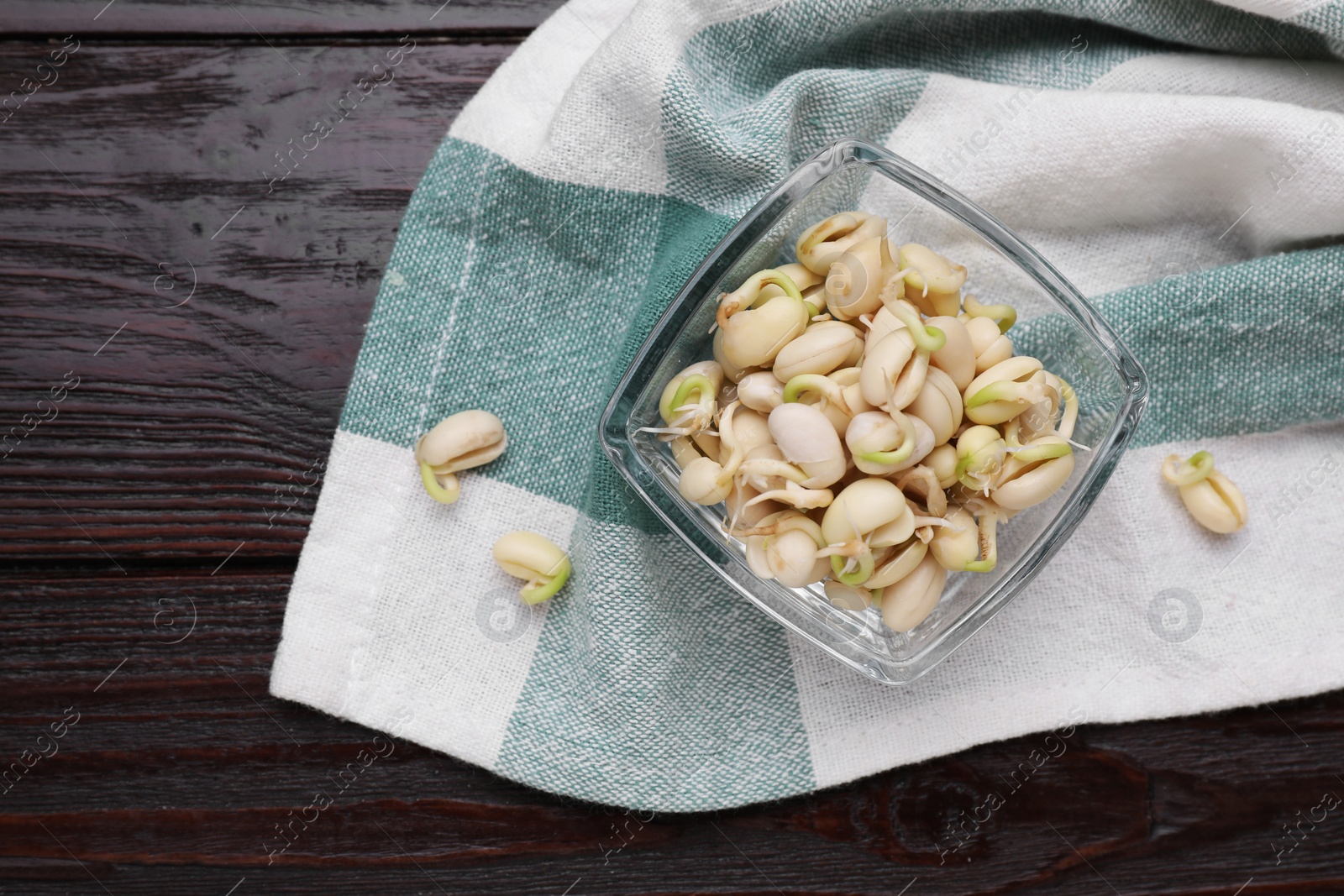 Photo of Sprouted kidney beans on dark wooden table, top view. Space for text