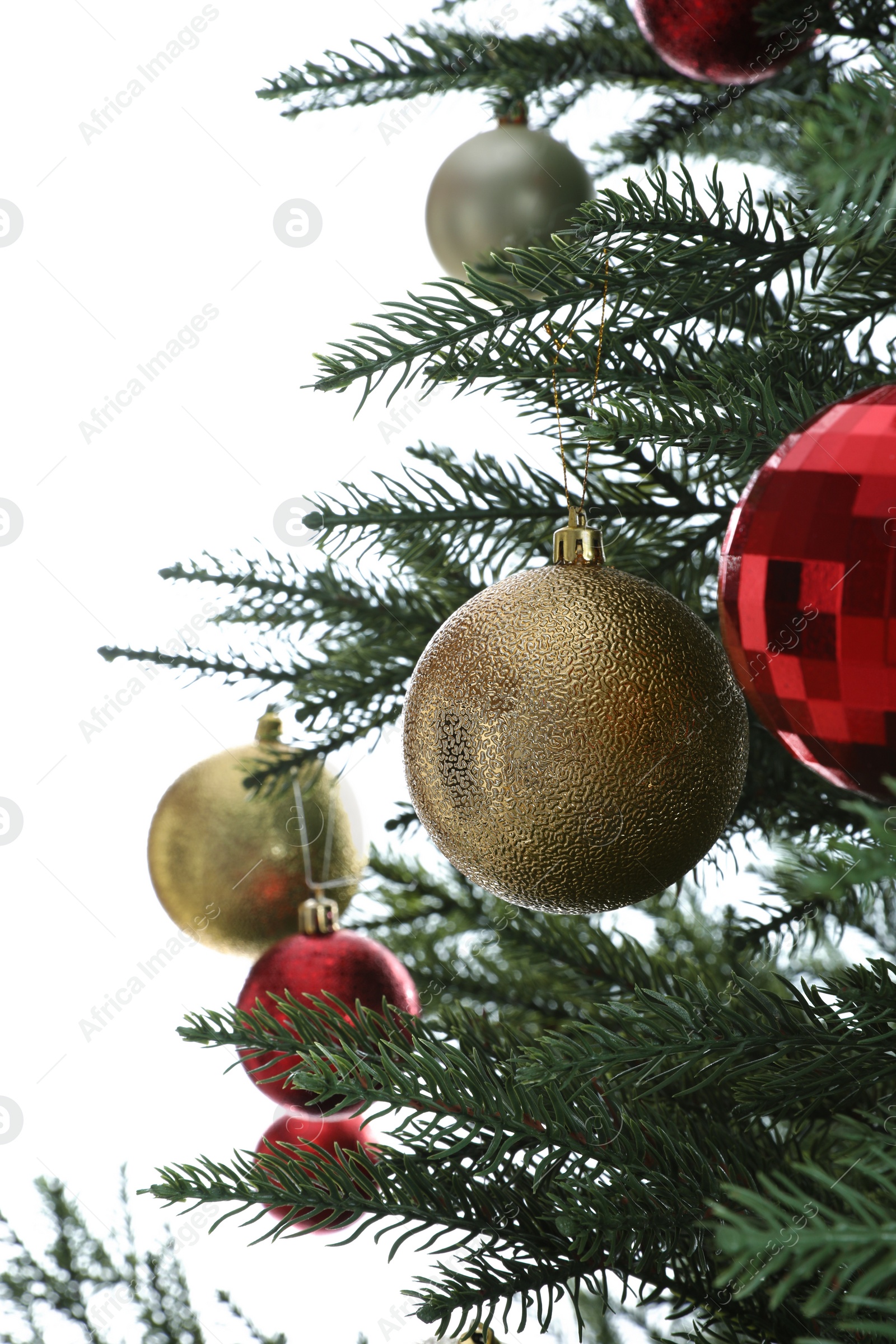 Photo of Beautiful Christmas tree with shiny baubles on white background, closeup