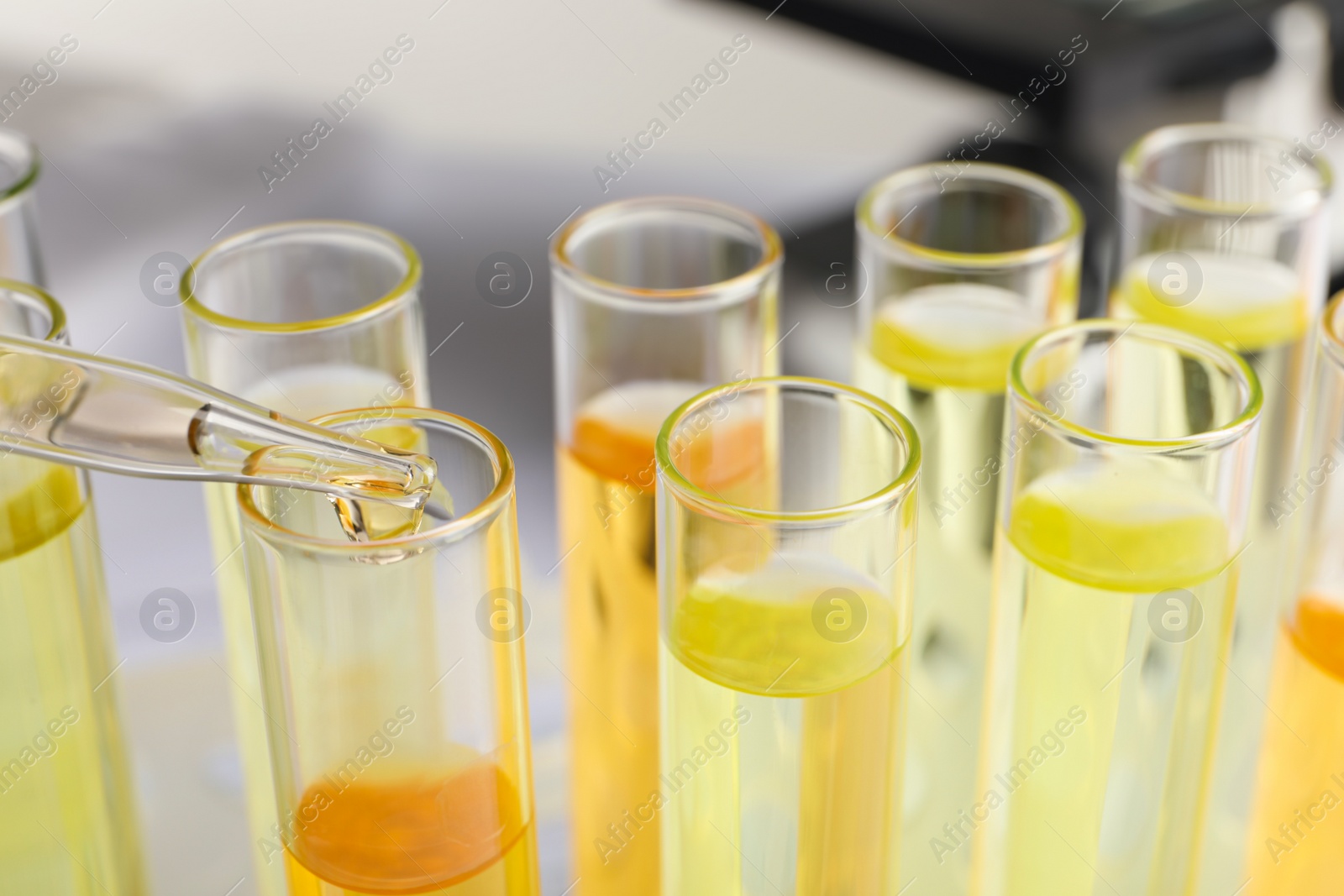 Photo of Dropping urine sample for analysis into tube, closeup