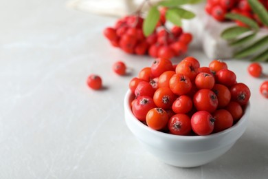 Photo of Fresh ripe rowan berries in bowl on light table, space for text