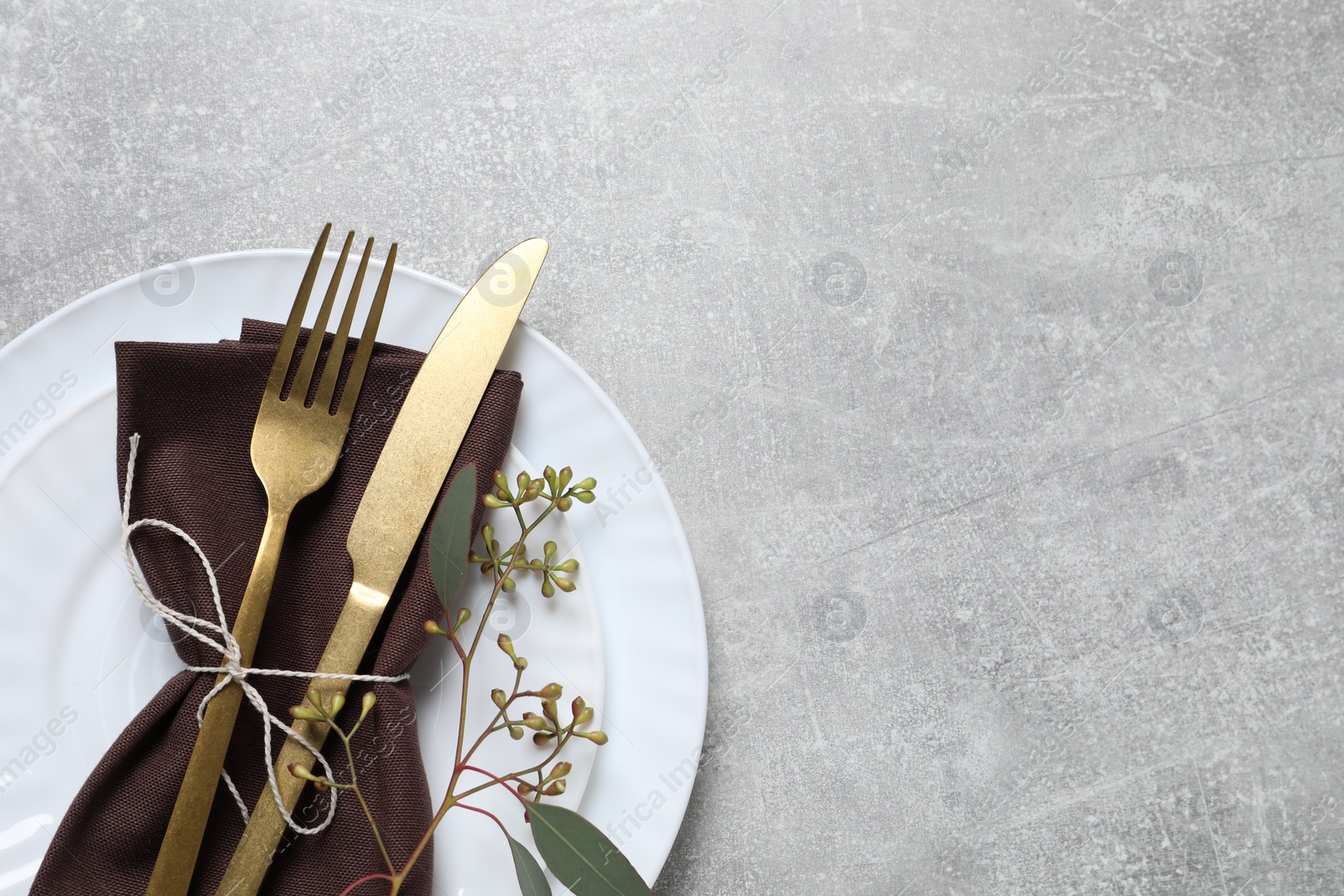 Photo of Stylish table setting with cutlery and eucalyptus leaves, top view. Space for text