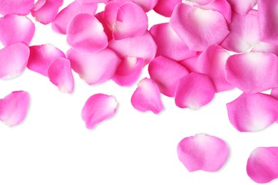 Photo of Many pink rose petals on white background, top view