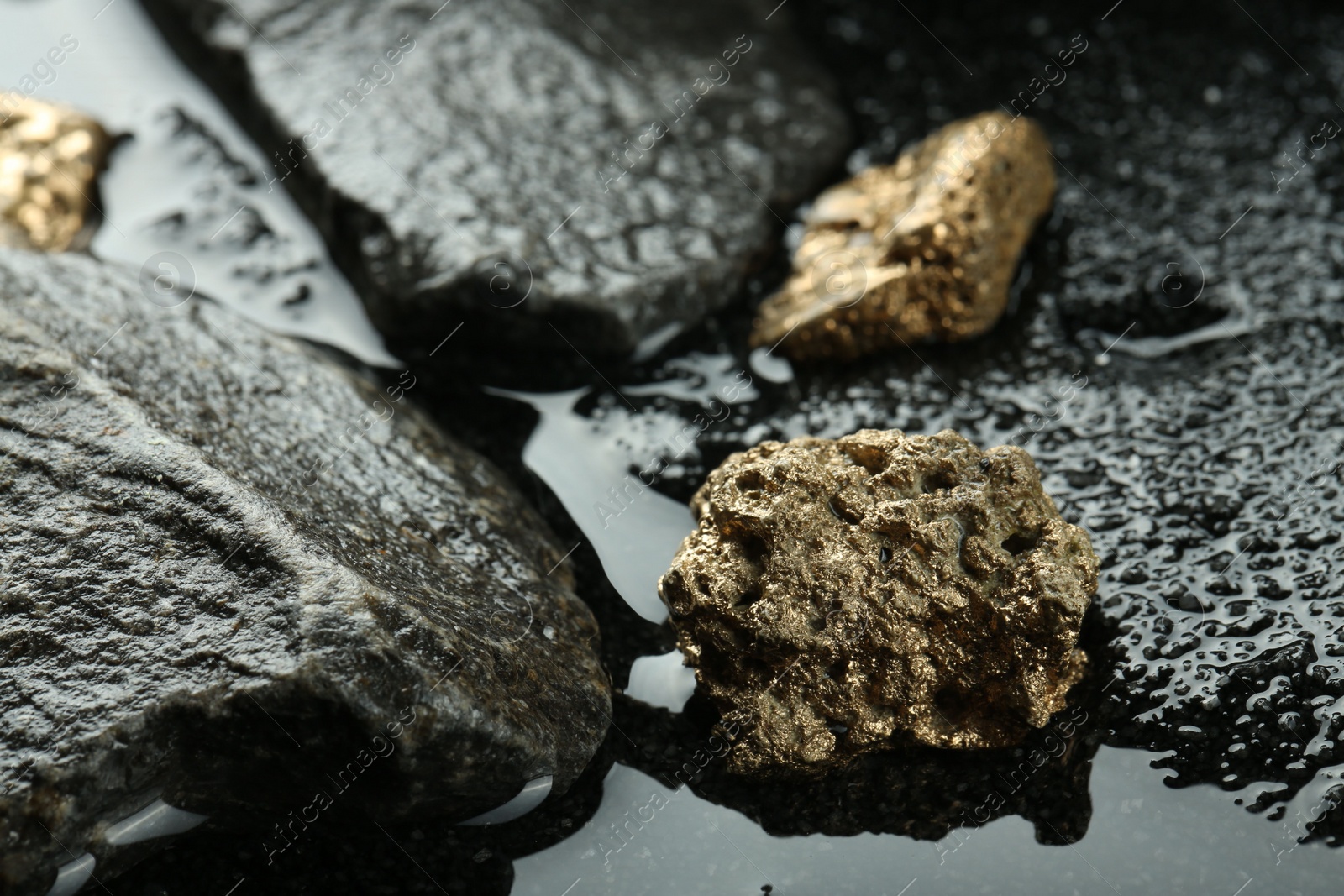 Photo of Shiny gold nuggets on wet stones, closeup