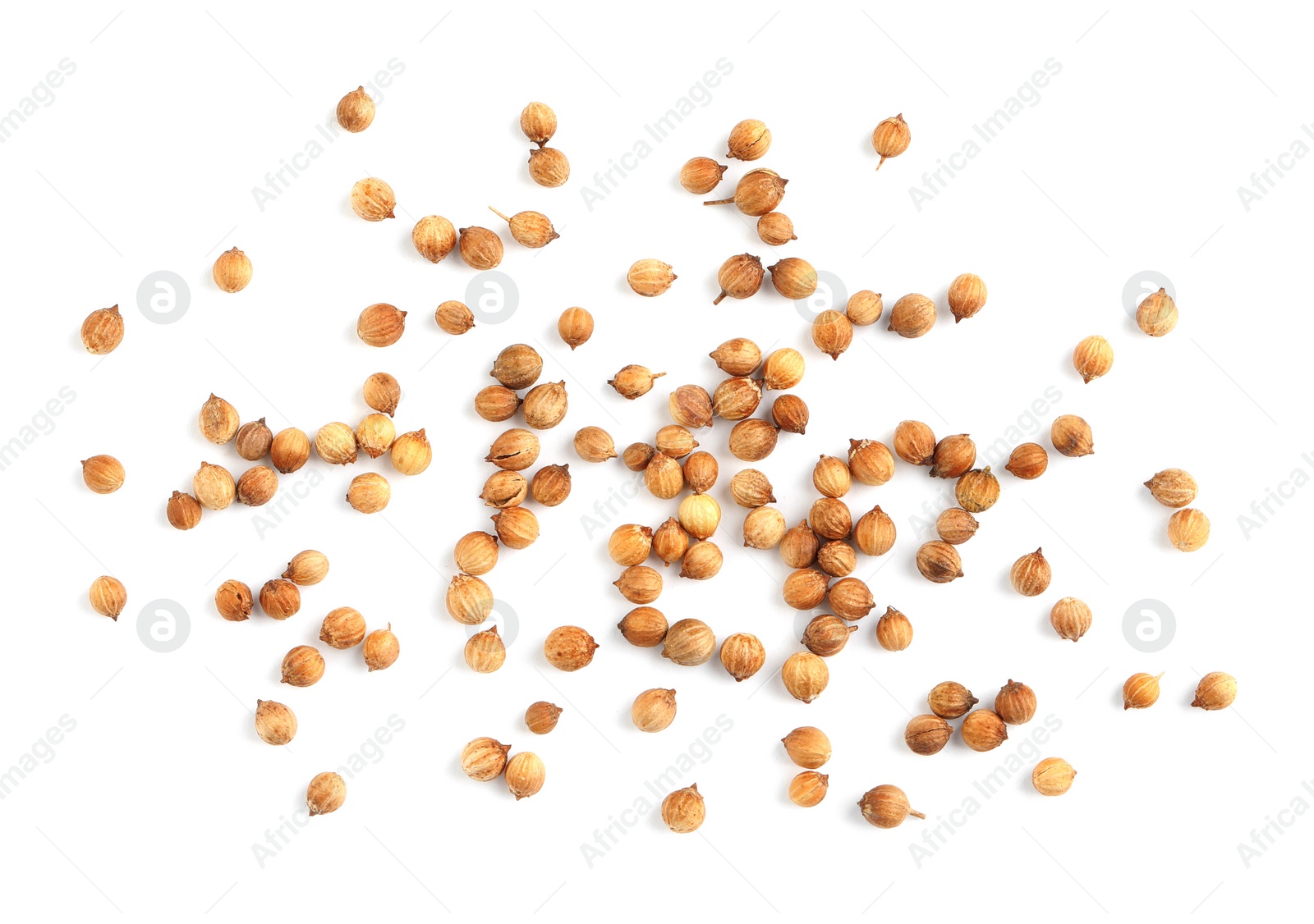 Photo of Scattered dried coriander seeds on white background, top view