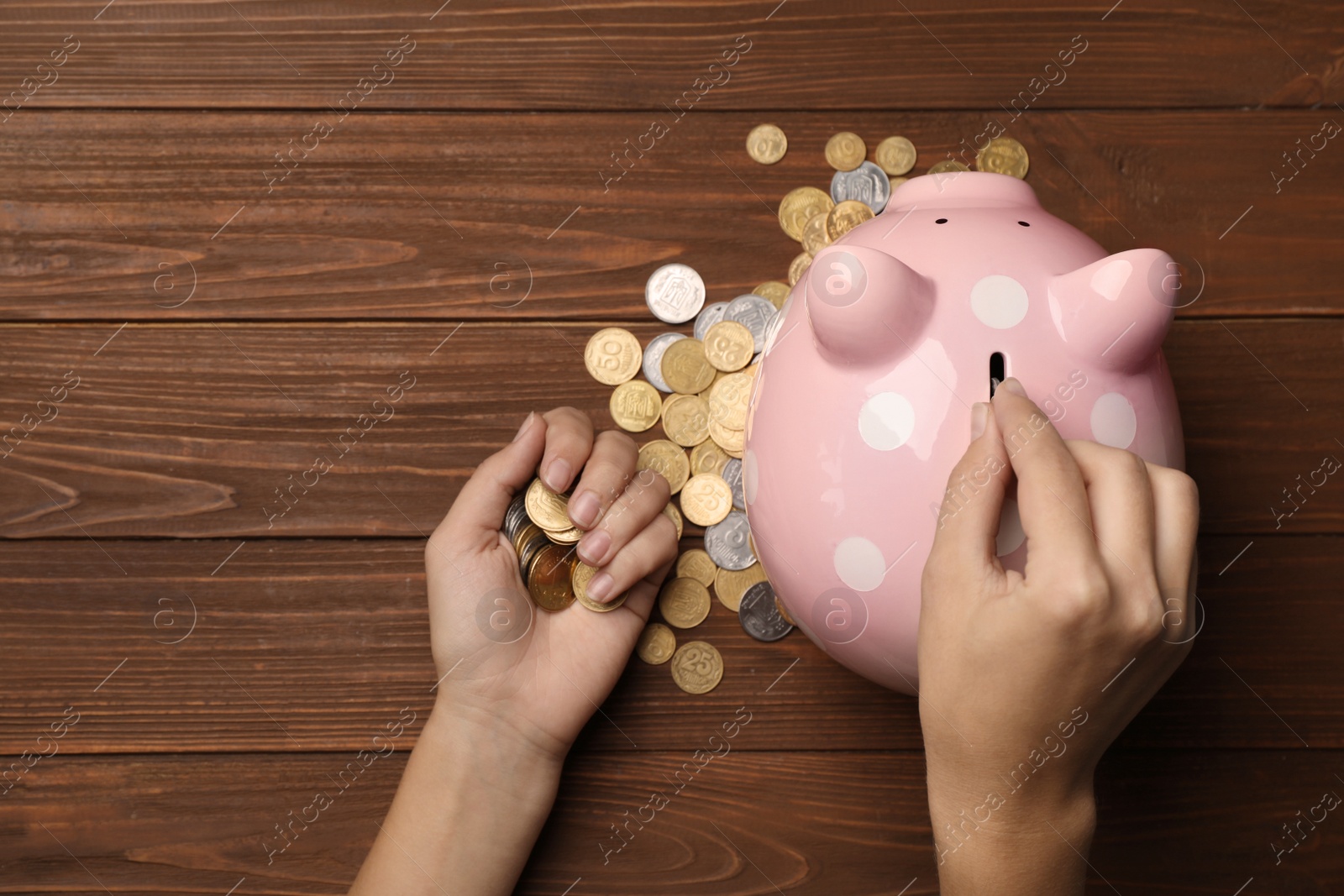 Photo of Woman putting coin into piggy bank on wooden background, top view
