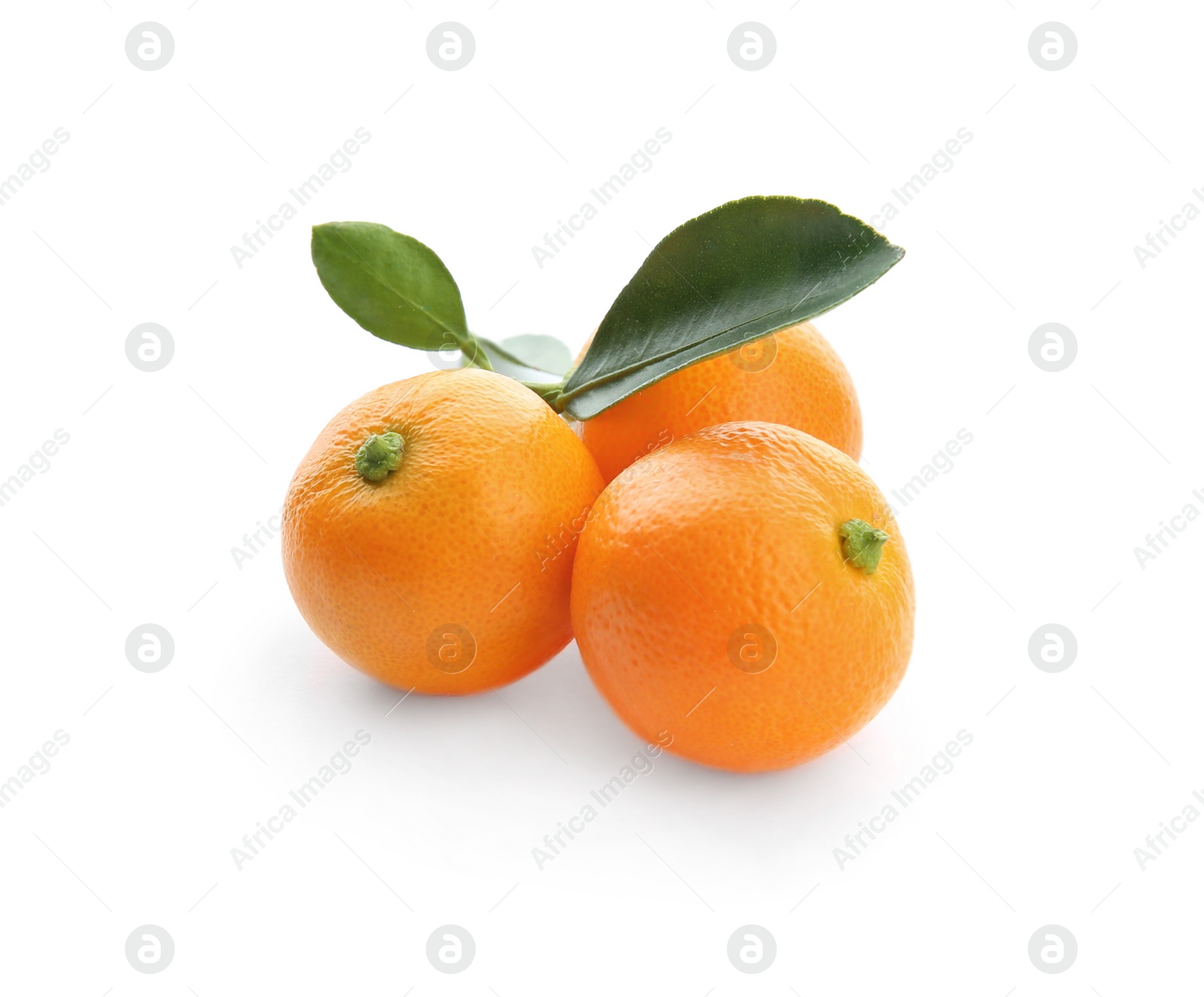 Photo of Branch of ripe tangerines isolated on white. Tasty citrus fruit