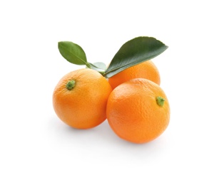 Photo of Branch of ripe tangerines isolated on white. Tasty citrus fruit