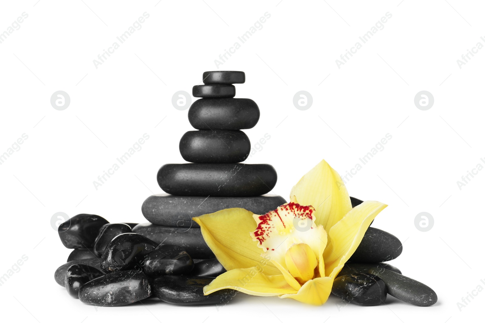 Photo of Spa stones and beautiful orchid on white background