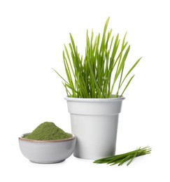 Photo of Wheat grass in pot, bowl of green powder and fresh sprouts isolated on white