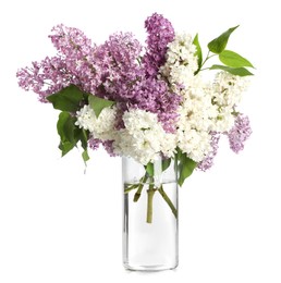 Photo of Beautiful lilac flowers in glass vase isolated on white