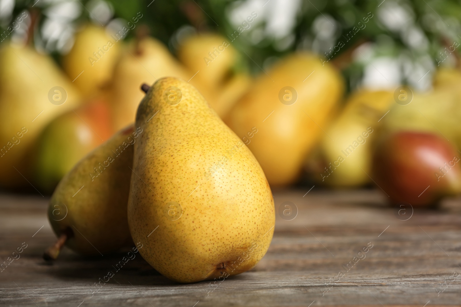 Photo of Fresh ripe pears on wooden table against blurred background