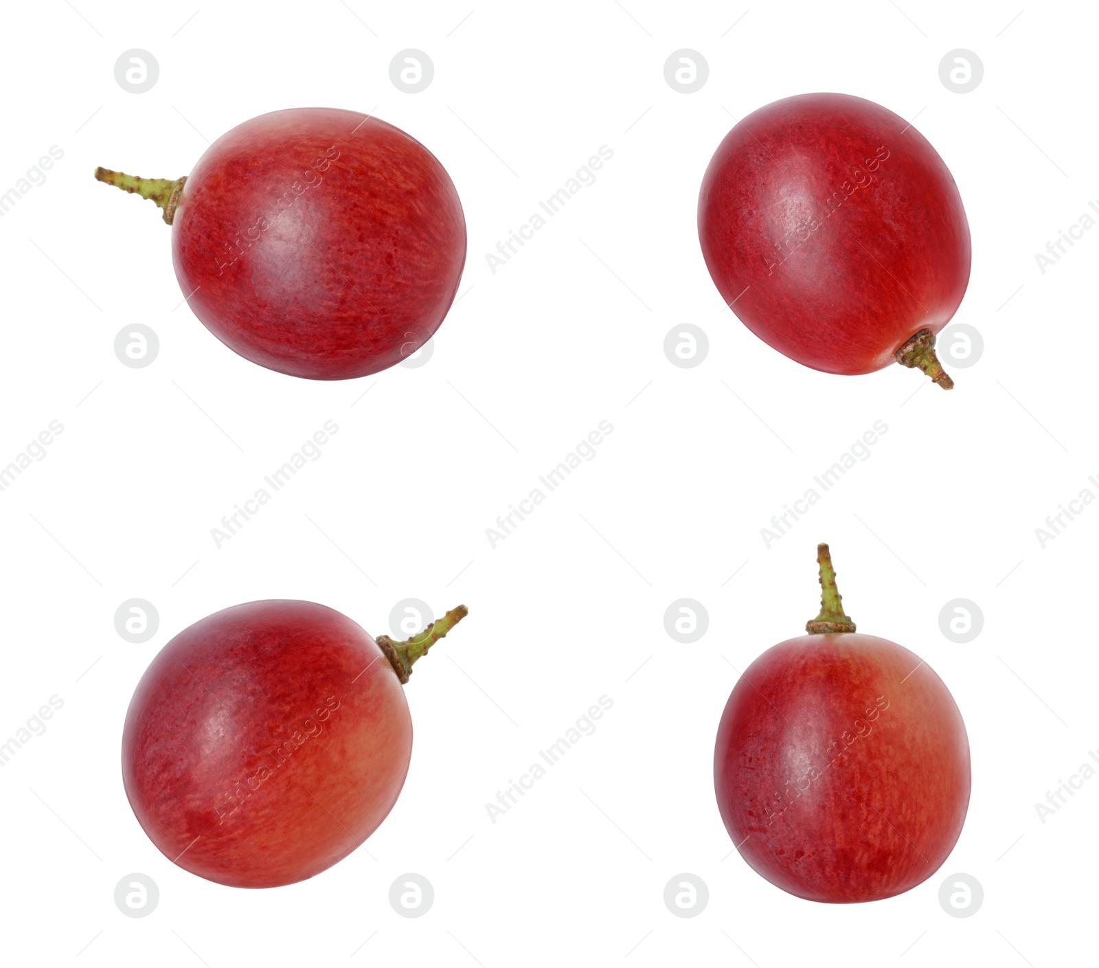 Image of Delicious fresh red grapes isolated on white, set