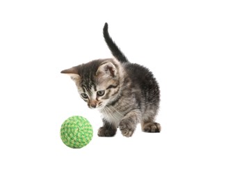 Photo of Little kitten playing with toy ball on white background